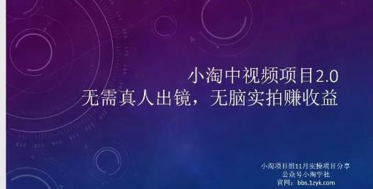 小淘项目组网赚永久会员，绝对是具有实操价值的，适合有项目做需要流程【持续更新】-森哥资源库