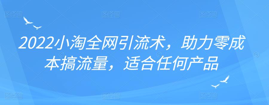 2022年小淘全网引流术，助力零成本搞流量，适合任何产品-森哥资源库