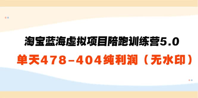 淘宝蓝海虚拟项目陪跑训练营5.0：单天478纯利润（无水印）-森哥资源库