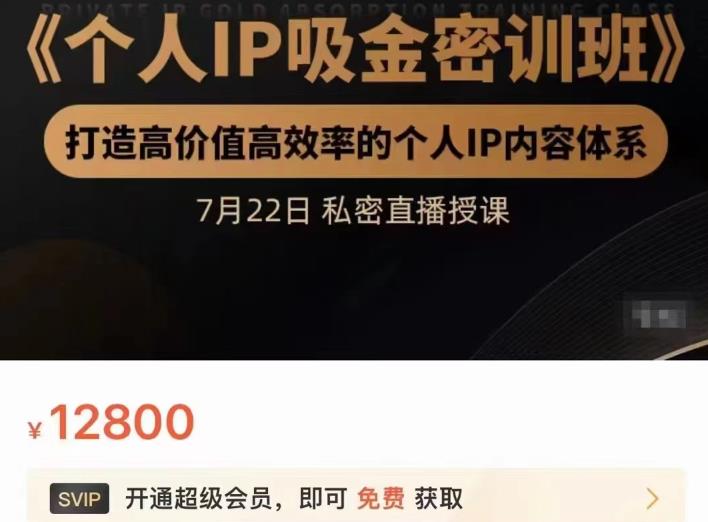 个人IP吸金密训班，打造高价值高效率的个人IP内容体系（价值12800元）-森哥资源库