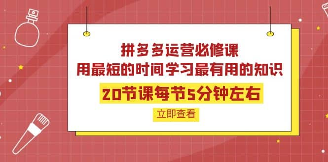 拼多多运营必修课：20节课每节5分钟左右，用最短的时间学习最有用的知识-森哥资源库