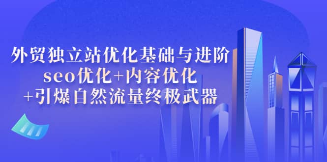 外贸独立站优化基础与进阶，seo优化 内容优化 引爆自然流量终极武器-森哥资源库