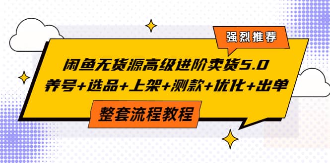 闲鱼无货源高级进阶卖货5.0，养号 选品 上架 测款 优化 出单整套流程教程-森哥资源库