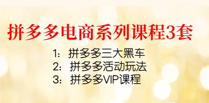 拼多多电商系列课程3套：拼多多三大黑车 拼多多活动玩法 拼多多VIP课程-森哥资源库