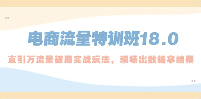 电商流量特训班18.0，直引万流量破局实操玩法，现场出数据拿结果-森哥资源库