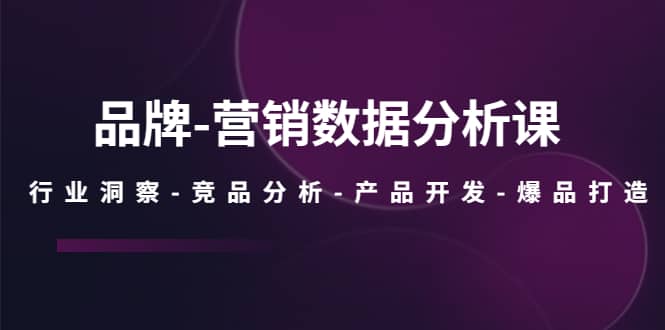 品牌-营销数据分析课，行业洞察-竞品分析-产品开发-爆品打造-森哥资源库