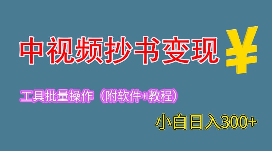 2023中视频抄书变现（附工具 教程），一天300 ，特别适合新手操作的副业-森哥资源库